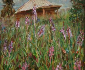 Иван-чай цветет. 50х40, холст, картон, масло.