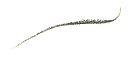 иконка